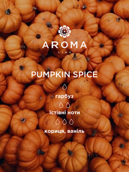 Аромат/віддушка PUMPKIN SPICE 10гр 1714323760 фото