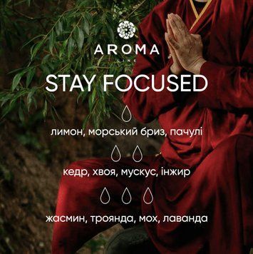 Аромат / Віддушка STAY FOCUSED 500 гр - для свічок, аромадифузорів, рум-спреїв 1856329965 фото