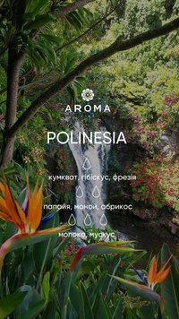 Аромат/віддушка POLINESIA 10гр 1920869967 фото