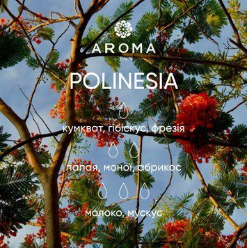 Аромат / Віддушка POLINESIA 100 гр - для свічок, аромадифузорів, рум-спреїв 1920869972 фото