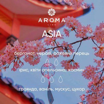 Аромат / Віддушка ASIA 100 гр - для парфумів, аромадифузорів та косметичних засобів 1758695489 фото